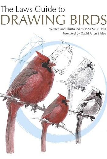 61n tber3tl. sy522 .jpg