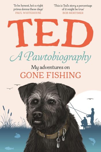 81hd cnzj5l. sl1500 .jpg