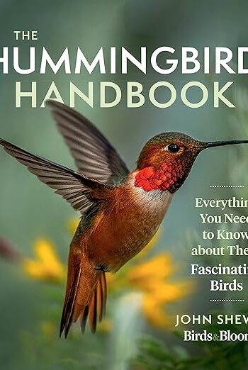 81kzrwj7g4l. sy522 .jpg