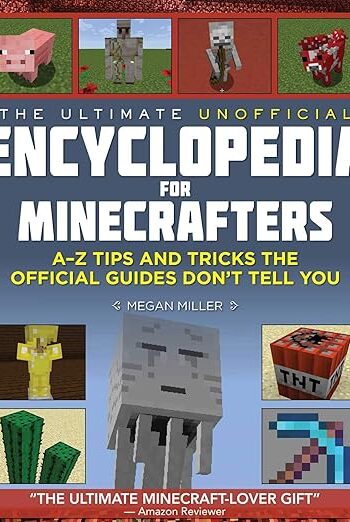 81rrpick2rl. sy522 .jpg