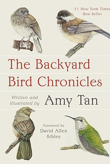 81mtamistml. sy522 .jpg