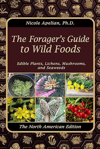 Best Selling 91ucjyjyzfs. sy522 .jpg